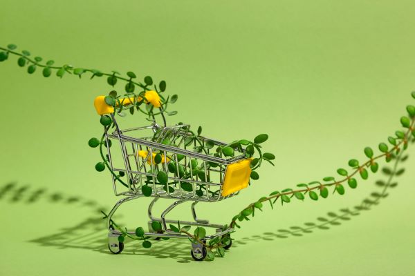 zielona platforma e-commerce
